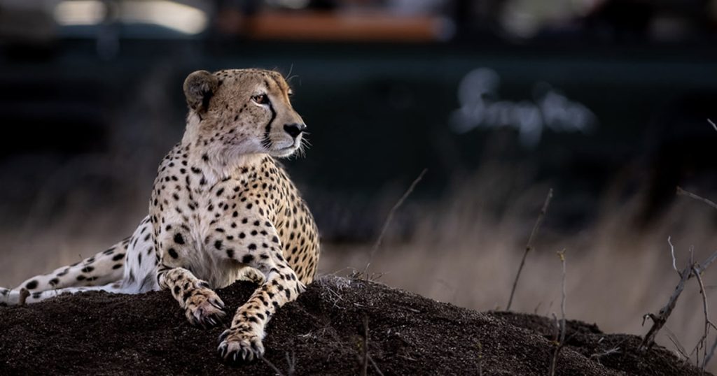 Tread Lightly: How To Travel With Sustainability in Mind Tread Lightly: How To Travel With Sustainability in Mind