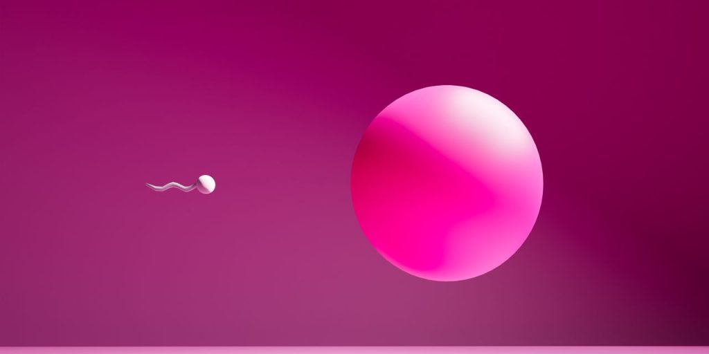 How Can You Improve Your Egg Quality for Better Fertility? How Can You Improve Your Egg Quality for Better Fertility?