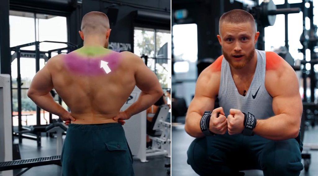Jeff Nippard’s Upper Trap Workout for Bigger, Stronger Shoulders
