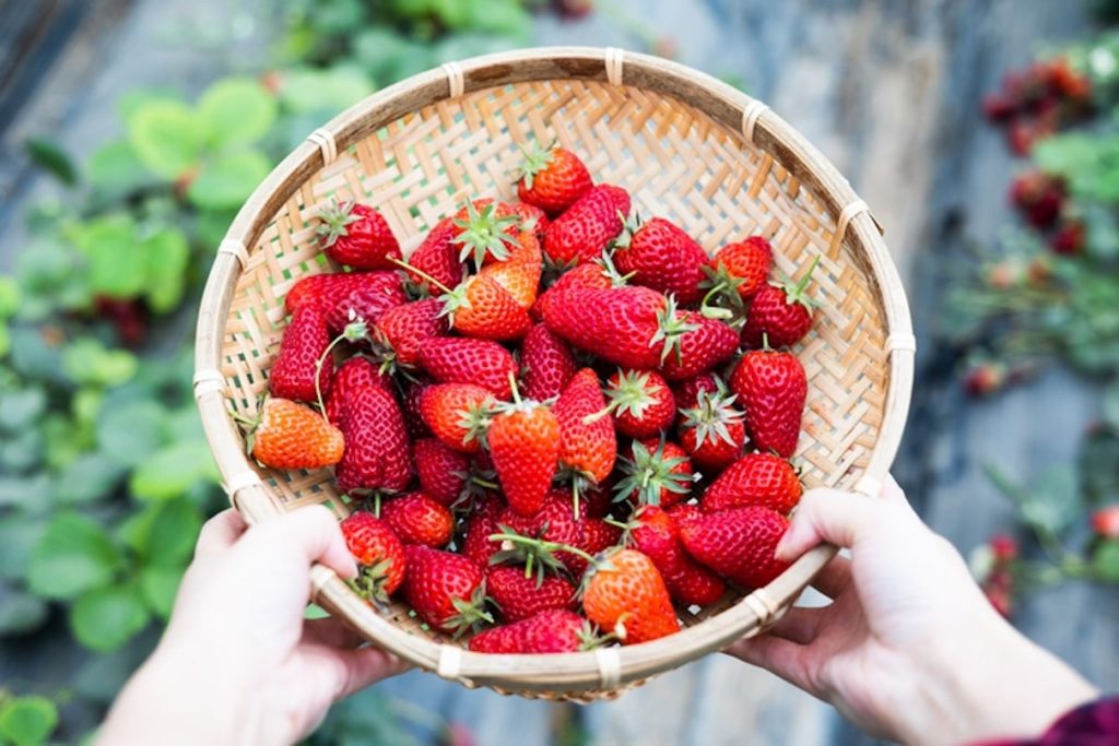 Non-Bloating Foods In-Season This April
