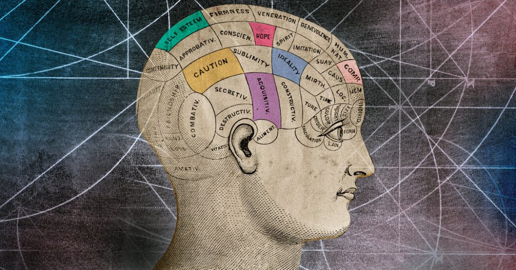 Two Theories of Consciousness Faced Off. The Ref Took a Beating.