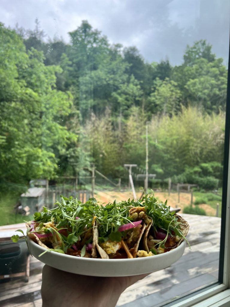ultimate breakfast tacos | Nutrition Stripped