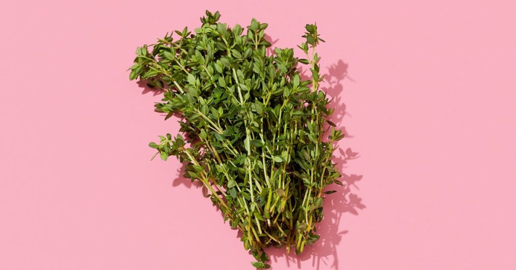 How to Get Rid of Mosquito Bites Overnight: Home Remedies How to Get Rid of Mosquito Bites Overnight: Home Remedies